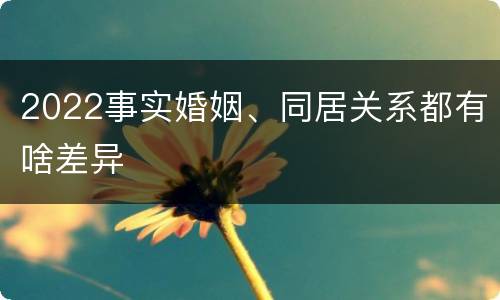 2022事实婚姻、同居关系都有啥差异