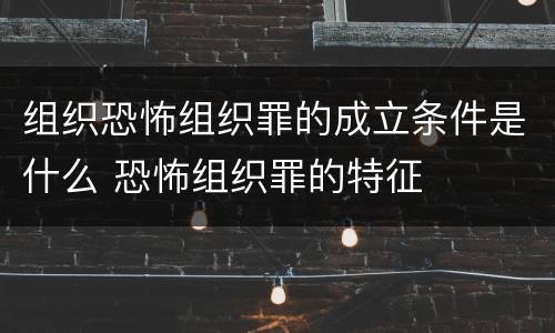 组织恐怖组织罪的成立条件是什么 恐怖组织罪的特征