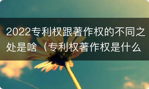 2022专利权跟著作权的不同之处是啥（专利权著作权是什么意思）