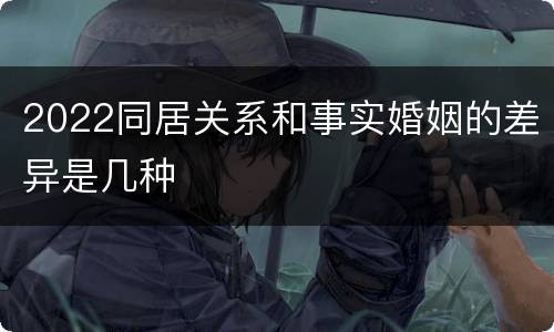 2022同居关系和事实婚姻的差异是几种