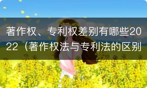 著作权、专利权差别有哪些2022（著作权法与专利法的区别）