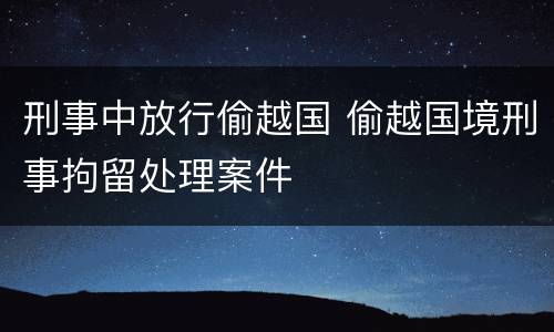 刑事中放行偷越国 偷越国境刑事拘留处理案件