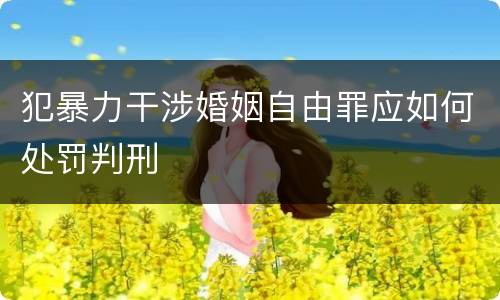 犯暴力干涉婚姻自由罪应如何处罚判刑