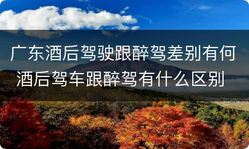 广东酒后驾驶跟醉驾差别有何 酒后驾车跟醉驾有什么区别
