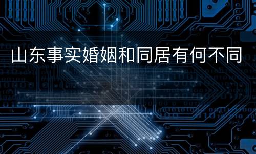 山东事实婚姻和同居有何不同