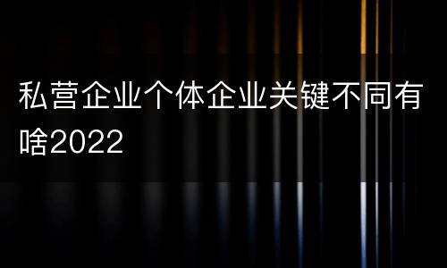 私营企业个体企业关键不同有啥2022