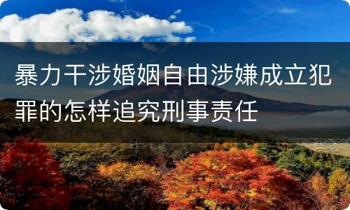 暴力干涉婚姻自由涉嫌成立犯罪的怎样追究刑事责任
