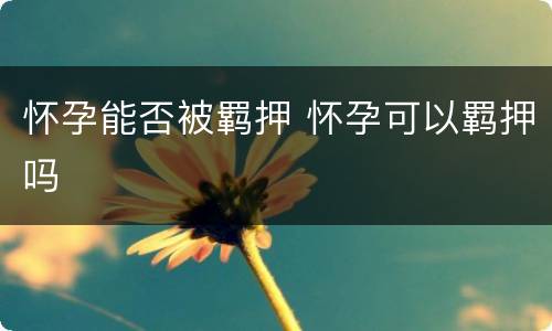怀孕能否被羁押 怀孕可以羁押吗