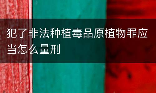 犯了非法种植毒品原植物罪应当怎么量刑
