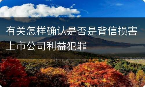 有关怎样确认是否是背信损害上市公司利益犯罪
