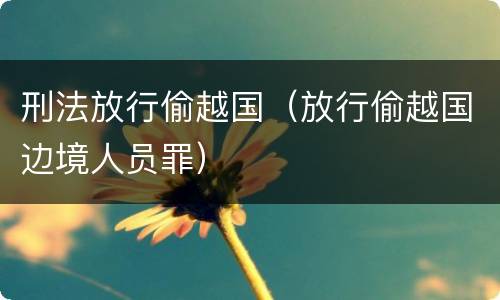 刑法放行偷越国（放行偷越国边境人员罪）