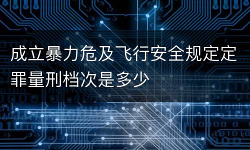 成立暴力危及飞行安全规定定罪量刑档次是多少