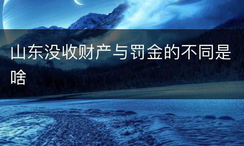 山东没收财产与罚金的不同是啥