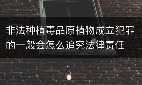 非法种植毒品原植物成立犯罪的一般会怎么追究法律责任