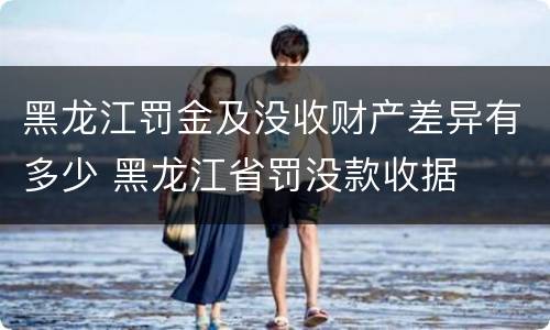 黑龙江罚金及没收财产差异有多少 黑龙江省罚没款收据