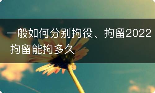 一般如何分别拘役、拘留2022 拘留能拘多久