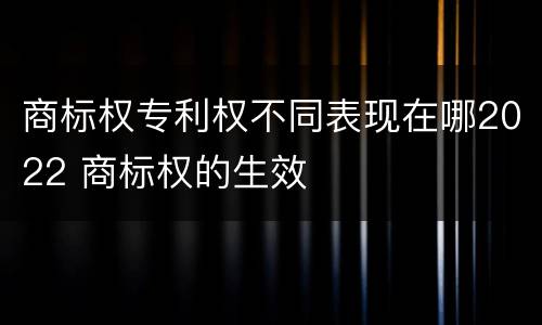 商标权专利权不同表现在哪2022 商标权的生效