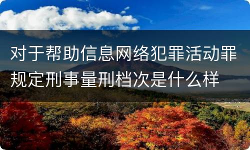 对于帮助信息网络犯罪活动罪规定刑事量刑档次是什么样