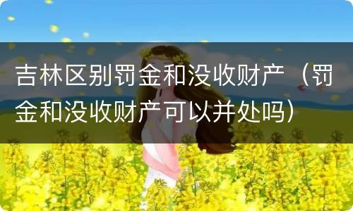 吉林区别罚金和没收财产（罚金和没收财产可以并处吗）