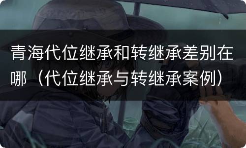 青海代位继承和转继承差别在哪（代位继承与转继承案例）