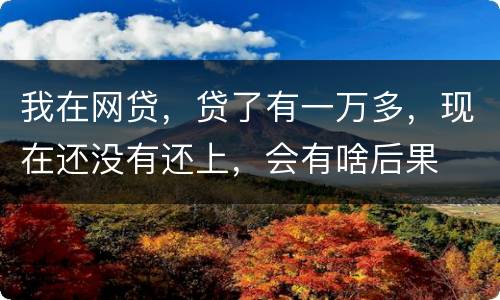 我在网贷，贷了有一万多，现在还没有还上，会有啥后果