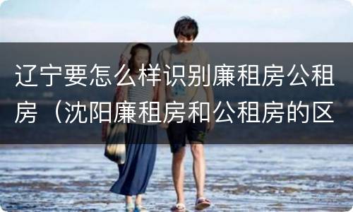 辽宁要怎么样识别廉租房公租房（沈阳廉租房和公租房的区别）