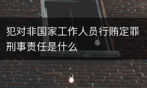 犯对非国家工作人员行贿定罪刑事责任是什么
