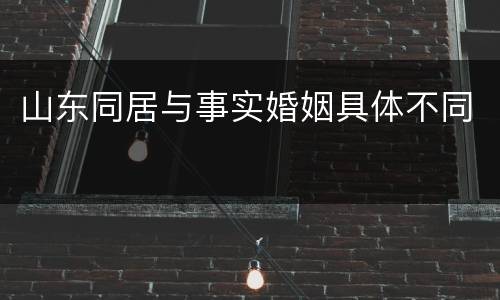 山东同居与事实婚姻具体不同