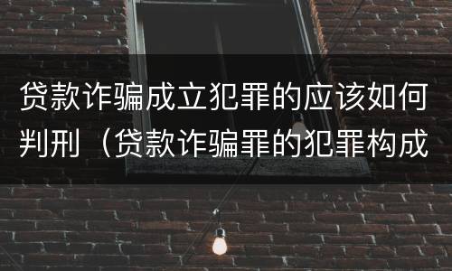 贷款诈骗成立犯罪的应该如何判刑（贷款诈骗罪的犯罪构成）