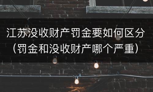江苏没收财产罚金要如何区分（罚金和没收财产哪个严重）