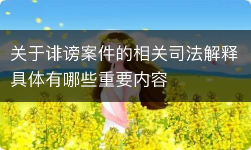 关于诽谤案件的相关司法解释具体有哪些重要内容