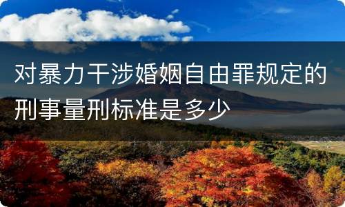 对暴力干涉婚姻自由罪规定的刑事量刑标准是多少