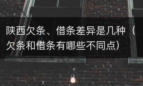 陕西欠条、借条差异是几种（欠条和借条有哪些不同点）