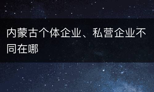 内蒙古个体企业、私营企业不同在哪