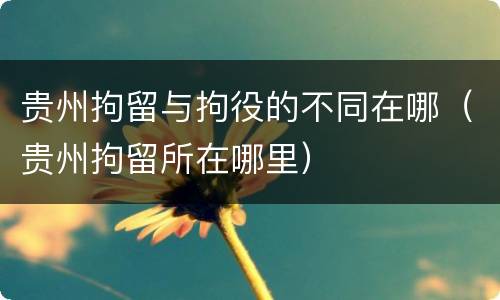贵州拘留与拘役的不同在哪（贵州拘留所在哪里）
