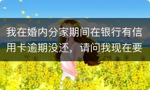 我在婚内分家期间在银行有信用卡逾期没还，请问我现在要离婚，老婆要承受债务吗