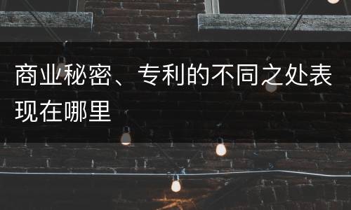 商业秘密、专利的不同之处表现在哪里