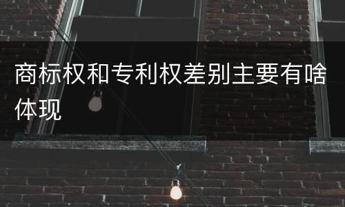 商标权和专利权差别主要有啥体现