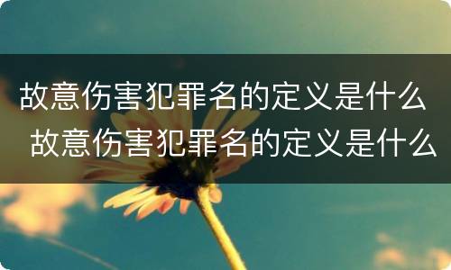 故意伤害犯罪名的定义是什么 故意伤害犯罪名的定义是什么呢