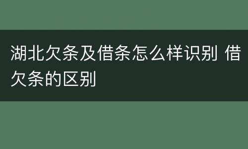 湖北欠条及借条怎么样识别 借欠条的区别