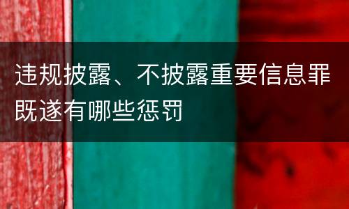 违规披露、不披露重要信息罪既遂有哪些惩罚