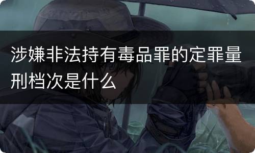涉嫌非法持有毒品罪的定罪量刑档次是什么