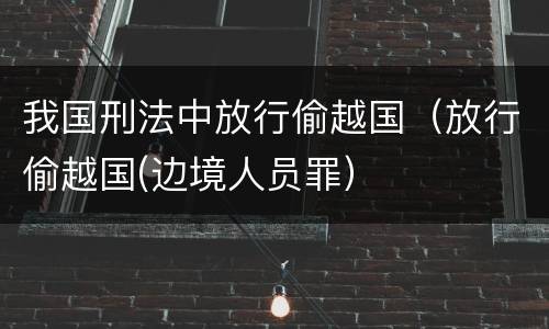 我国刑法中放行偷越国（放行偷越国(边境人员罪）