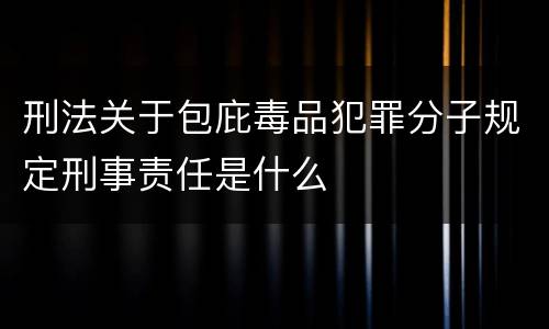 刑法关于包庇毒品犯罪分子规定刑事责任是什么