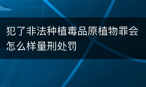 犯了非法种植毒品原植物罪会怎么样量刑处罚