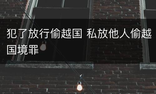 犯了放行偷越国 私放他人偷越国境罪