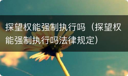 探望权能强制执行吗（探望权能强制执行吗法律规定）