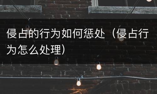 侵占的行为如何惩处（侵占行为怎么处理）