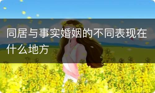 同居与事实婚姻的不同表现在什么地方