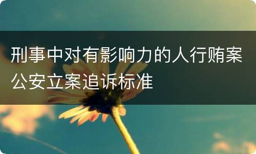 刑事中对有影响力的人行贿案公安立案追诉标准